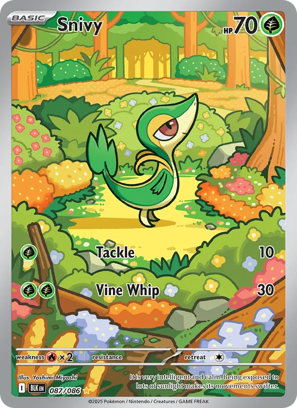 Snivy 087 – Illustration rare – Black Bolt (EN)